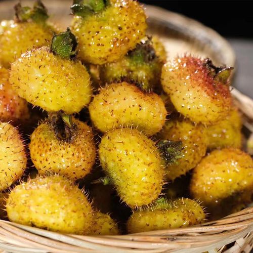 刺梨新鲜鲜果5斤贵州特产野生现摘现发生吃其它