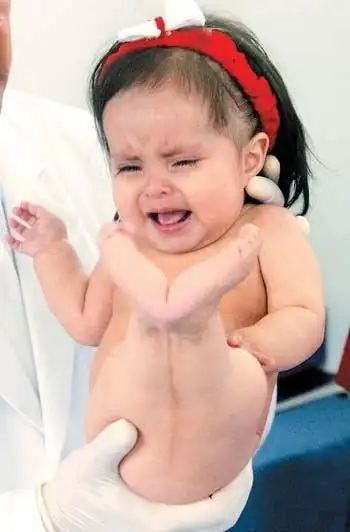 这些美人鱼是真的吗?