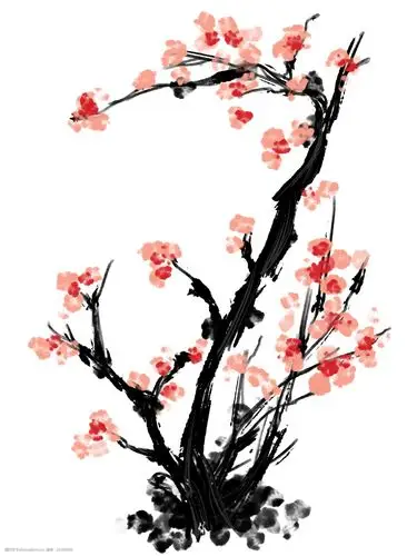 手绘梅花花枝插画