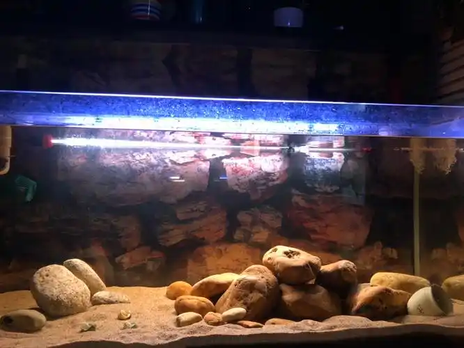 三湖造景-三湖慈鲷圈-龙巅