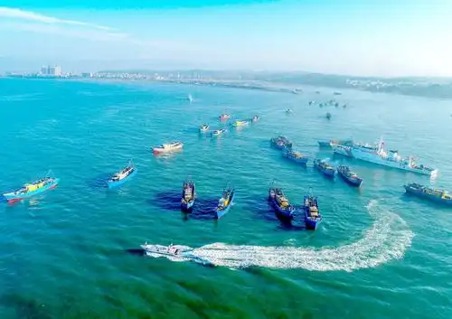 开渔啦惠来874艘渔船扬帆出海场面震撼不容错过