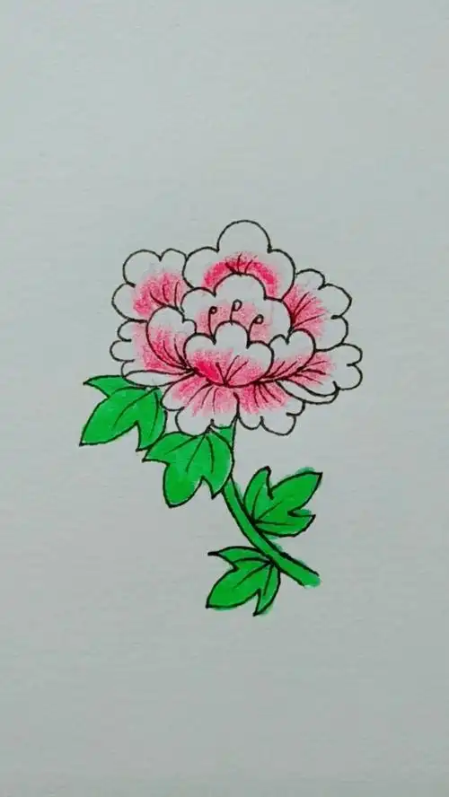 简笔画牡丹花,喜欢双击哦.