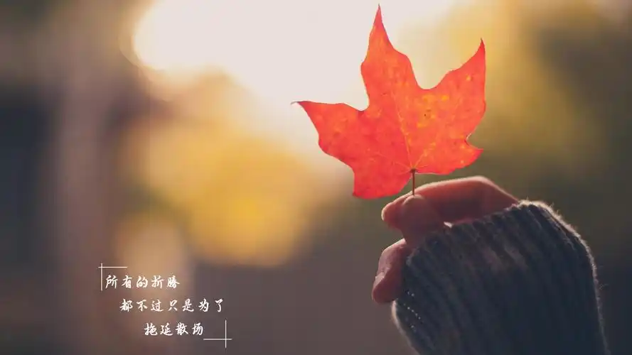 生活无奈与心酸的说说图片