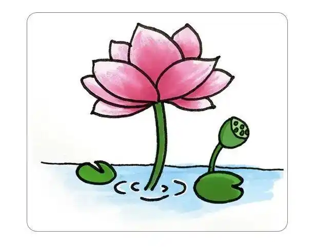莲花简笔画简单又好看彩色