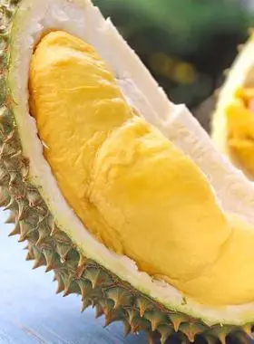 泰国榴莲a果巴掌整果整个托曼金枕