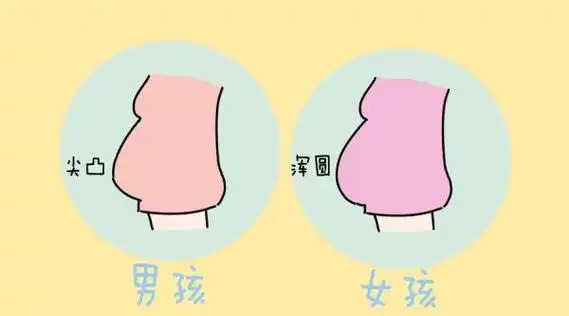 怀孕男孩特征,真相在这里 - 四明妇幼