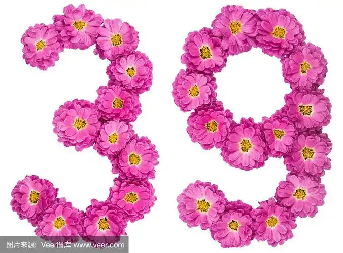 阿拉伯数字39,三十九,来自菊花,孤立在白色背景上