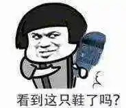 看到这只鞋了吗?(拖鞋)