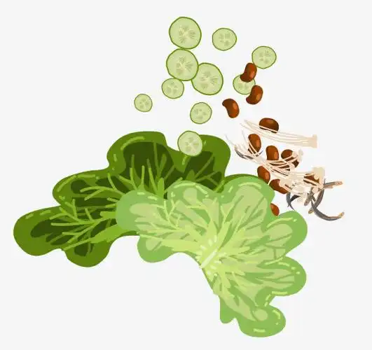 关键词 : 卡通蔬菜,手绘蔬菜,绿色菜叶,卡通食物元素