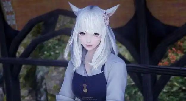 ff14各种族刻板印象第二期海都猫娘龙娘为什么轻易get到你