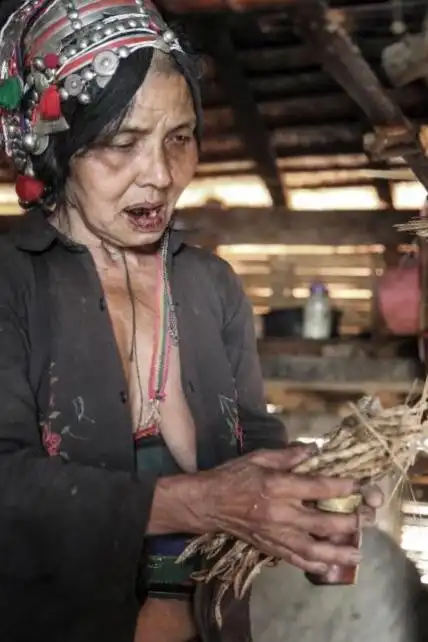 老挝阿卡族 ( 露奶族 )