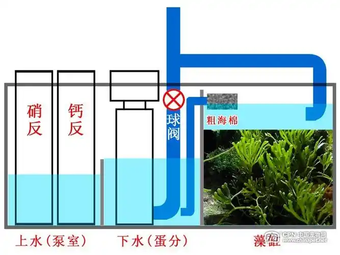 超简单实用底滤图纸