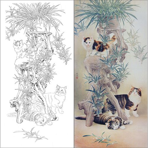 tp366工笔画猫白描底稿国画花鸟素材临摹练习线描画稿实物打印稿