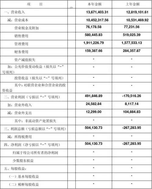 利润表(各种规范模板)