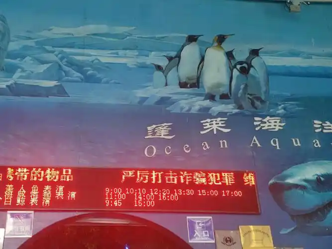 烟台旅游之蓬莱③蓬莱极地海洋世界