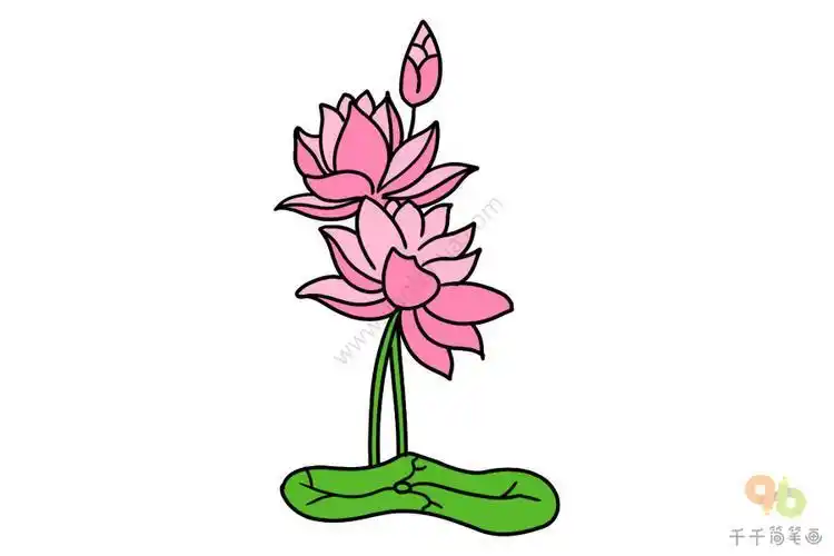 教你画莲花简笔画