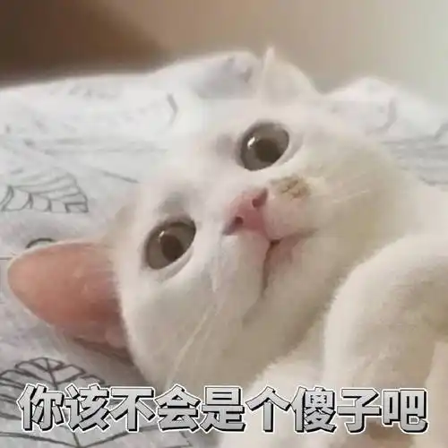 萌宠gif猫星人gif我该不会是个傻子吧gif无奈gif呆萌gif可爱gif