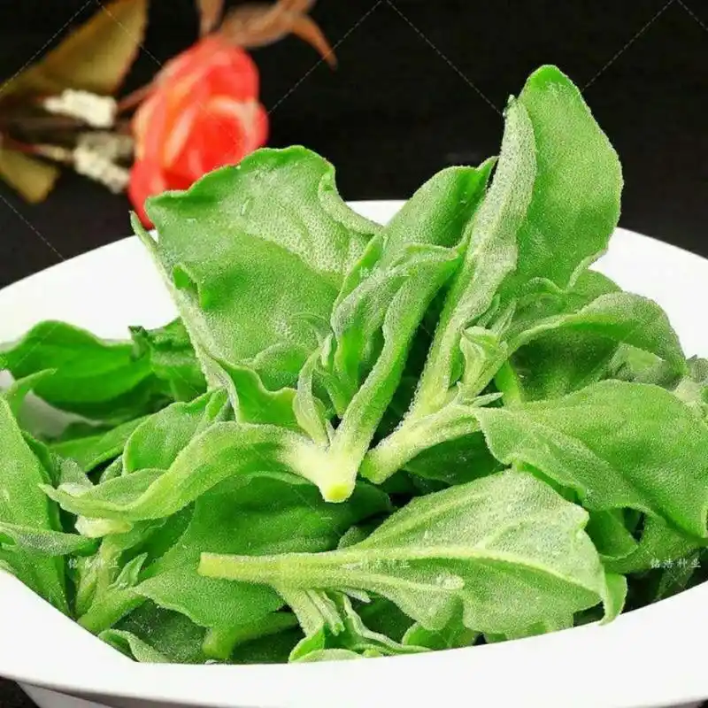 进口冰菜种子非洲冰草新鲜水果冰草菜冰菜蔬菜农家四季播盆栽国产冰菜