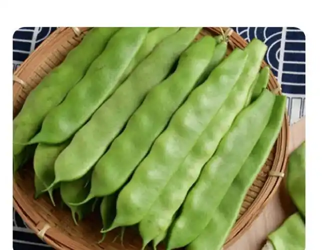 0kg店铺:婧依思商务服务专营店商品编号:10062549013569商品名称:豆角