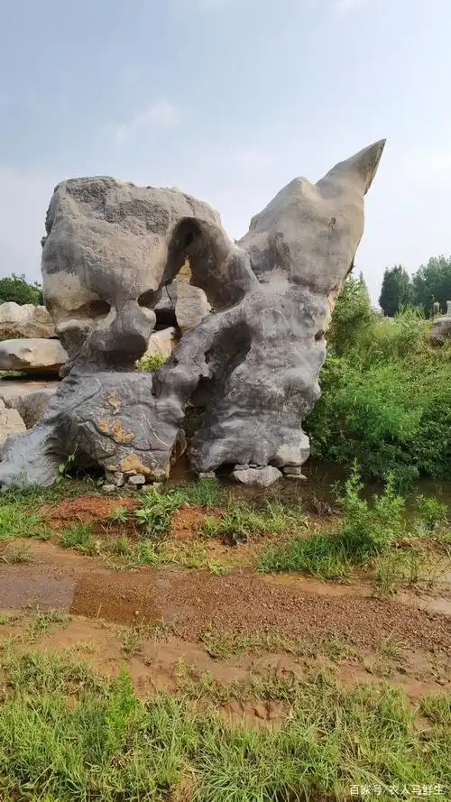 来费县不看费县奇石,枉为此行,不收费,顺便看,路边有的是