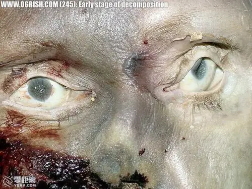 来点猛的.(限制级)