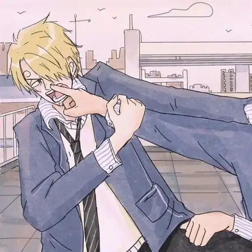 海贼王情侣头像索隆山治版