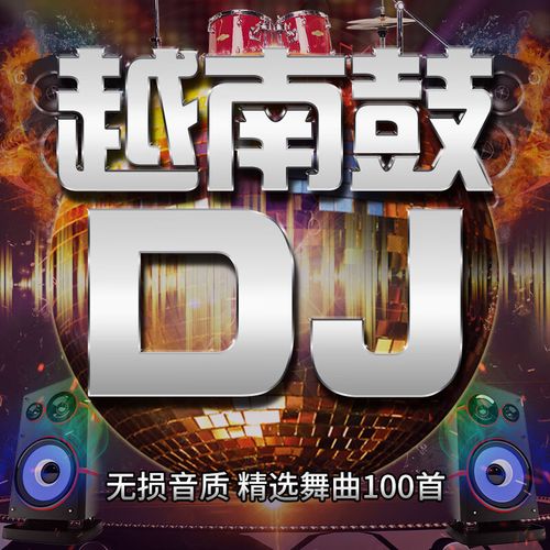 抖音流行越南鼓dj车载cd碟片劲爆超嗨电音dj舞曲无损音质mp3光盘