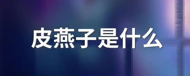 皮燕子是什么 皮燕子的由来-酷奇经验网
