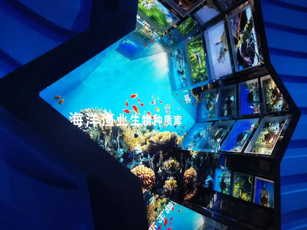 山东省科技馆新馆今日开馆