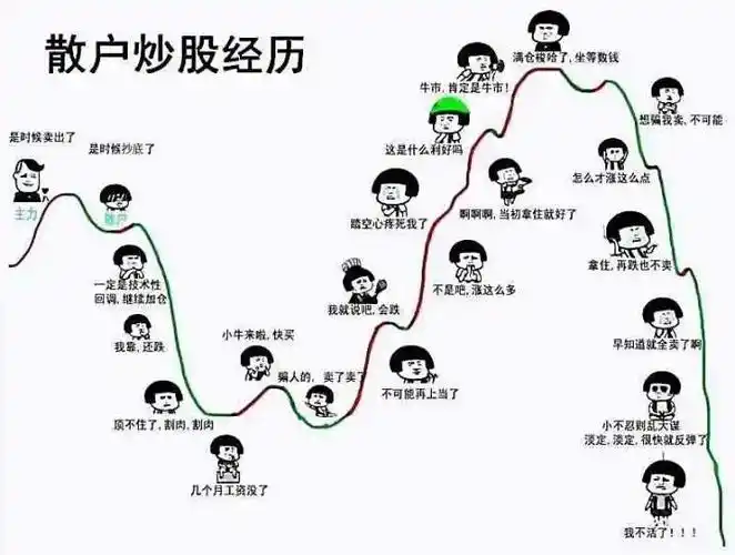 为什么股票大跌(为什么股票大跌反而挣钱)