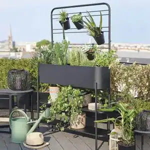 室外花架铁艺大型图片