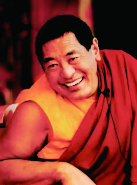 法王晋美彭措传摘略版上