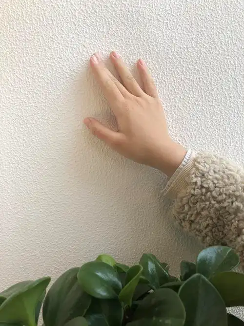 25公斤弹性拉毛漆艺术漆背景墙室内硅藻泥墙面漆凹凸环保拉花肌理