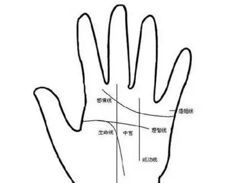 线却代表着一个人的生命,但是当智慧线与生命线相交时又预示着什么呢?