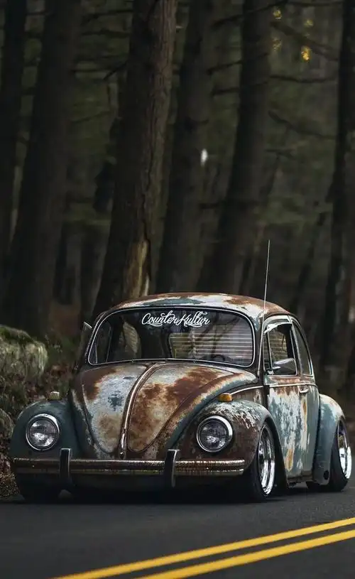 壁纸   甲壳虫爱好者请进