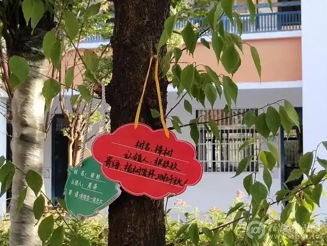 灵璧县自制生态文明标语创建绿色校园