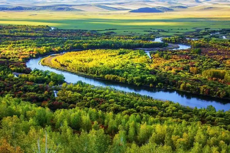 【乌苏里江风光鸟类摄影】 , 优秀摄影作品展(第四期) 2020.12