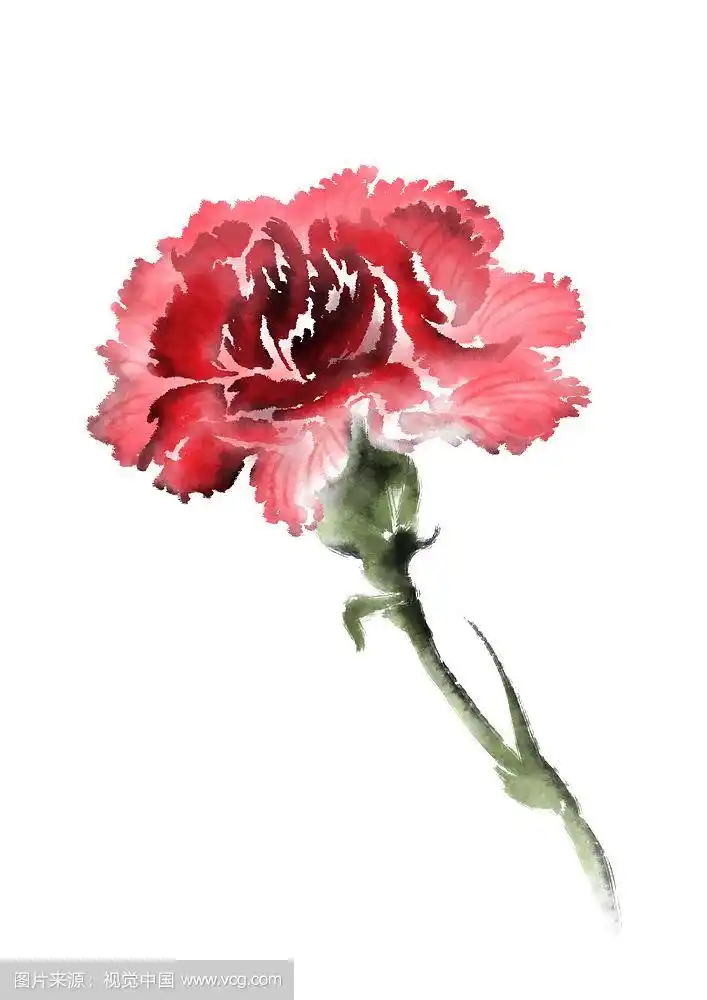康乃馨水墨画