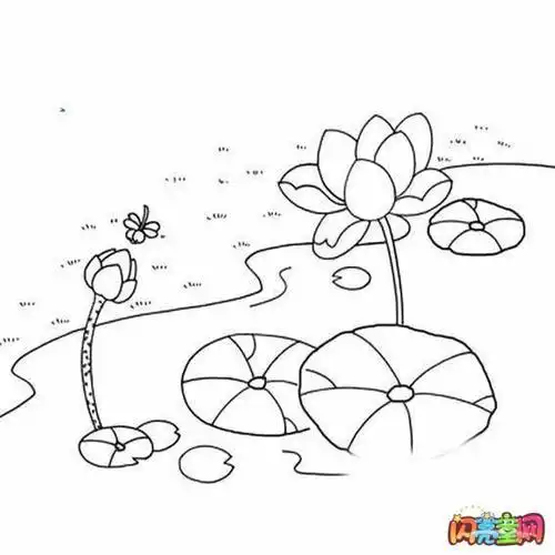 池塘里的荷花简笔画图片