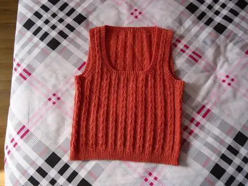 这是一款中粗毛线织的毛背心,很保暖.