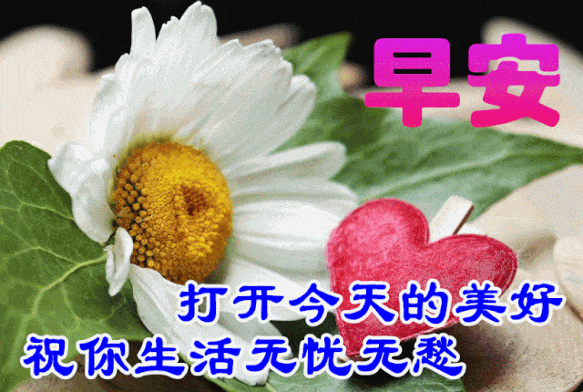 11月25日最漂亮早上好动态表情图片大全,早晨好动图美图大全_祝福