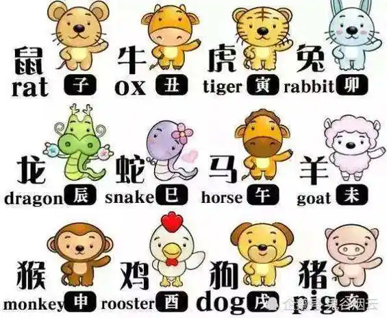 十二生肖大褂的由来 十二生肖大褂的由来是什么-三丫星座网