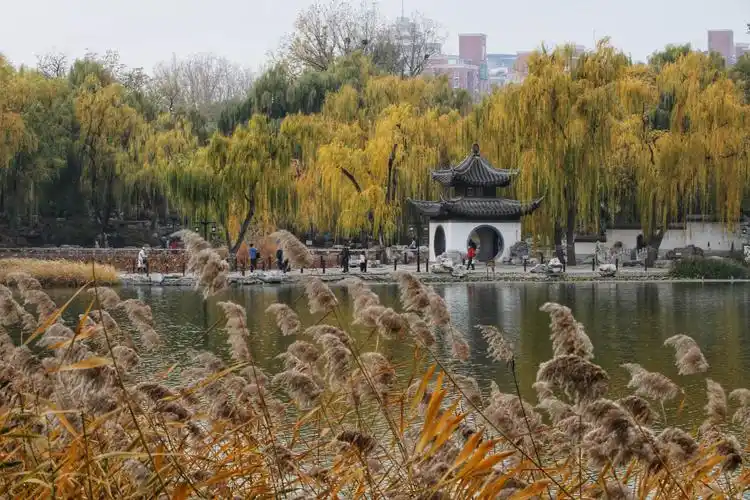 最后的秋色,陶然亭公园