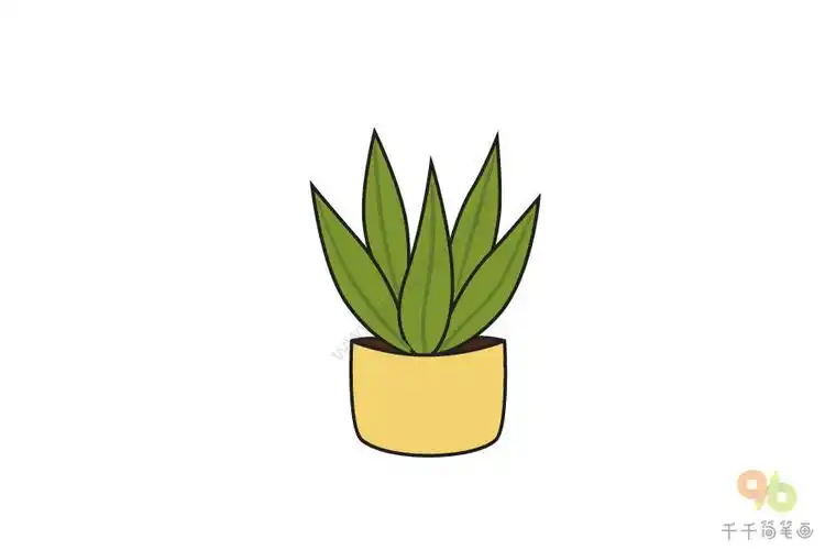 黄色花盆的绿色植物简笔画