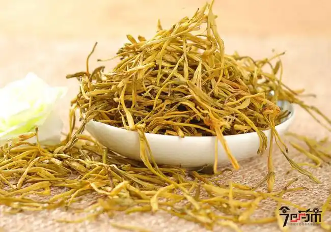 今日药市中药网 - 湖南名贵中药材金银花的种植与管理