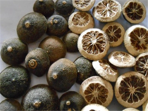 积壳的功效与作用