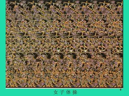 非常有趣的凝视三维立体图