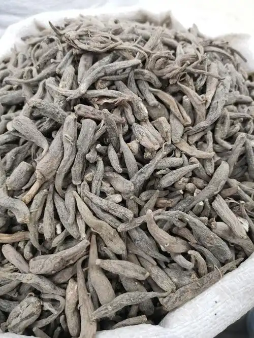 双肾参濮阳双肾参厂家供货