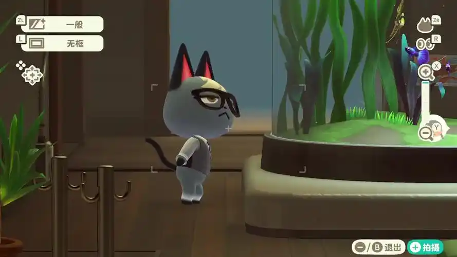 【动物森友会】叫杰克撅屁股猫的来源