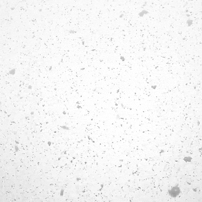 400_400gif 动态图 动图